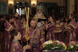 _MG_5092 - �����